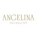 Angelina company logo