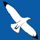A Cleaner World company logo