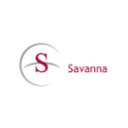 Savanna Energy Services Corp company logo