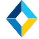 DSI Systems company logo