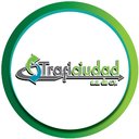 TRAFICIUDAD SA DE CV company logo