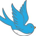 Bluebird Staffing company logo