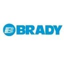 Brady Services company logo