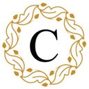 Castle Cleaners company logo