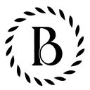 Boris Lumé company logo