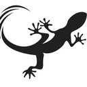 GE.CO.S. SRL company logo