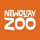 Newquay Zoo company logo