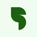 SalesValley company logo