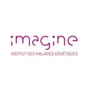 Institut Imagine company logo