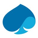 Capgemini Government Solutions LLC company logo