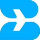 Blue Branch Inc. company logo