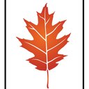 Chasco, Inc. company logo