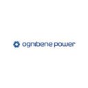 Ognibene Power Spa company logo