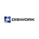 DISWORK IN company logo