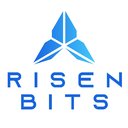 Risen Bits LLC company logo