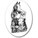 Crooked Creek Animal Hospital company logo