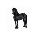 The Black Horse Inn company logo