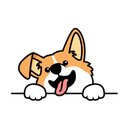 Filter You company logo