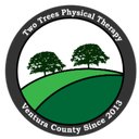 Two Trees Physical Therapy company logo