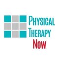 Physical Therapy Now Weston company logo