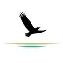 Sana Lake Recovery Center LLC company logo