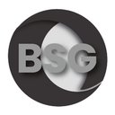 BSG company logo