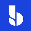 Bluevine - US company logo