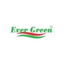 EVER GREEN company logo