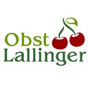 Obst Lallinger company logo