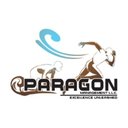 Paragon Management SNF company logo
