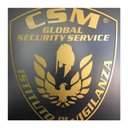 CSM GLOBAL SECURITY SERVICE S.R.L company logo