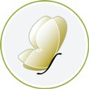 Beauty Solutions company logo