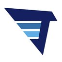 Vector Force Development company logo