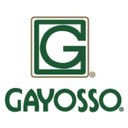 Grupo Gayosso company logo