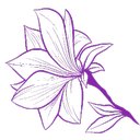Magnolia Gardens Skilled Nursing Facility company logo