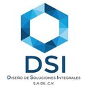 DSI MÉXICO company logo