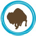 Buffalo Grove Park District company logo