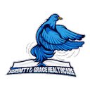 Serenity and Grace Healthcare company logo