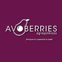 Avoberries Agroquimicos company logo