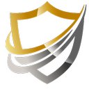 Diligence Security Group company logo