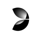 Evolution United States company logo