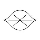 Electric Lemon company logo