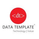Data Template Infotech company logo