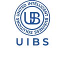 UIBS USA LLC company logo