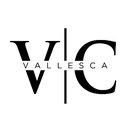 VALLESCA DESARROLLO EMPRESARIAL company logo