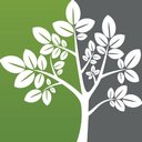 GroundWork Cognitive Behavioral Therapy company logo