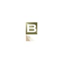 Barca de México company logo