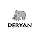 DERYAN B.V. company logo