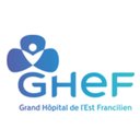 Grand Hopital de l'Est Francilien company logo