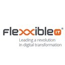 FLEXXIBLE company logo